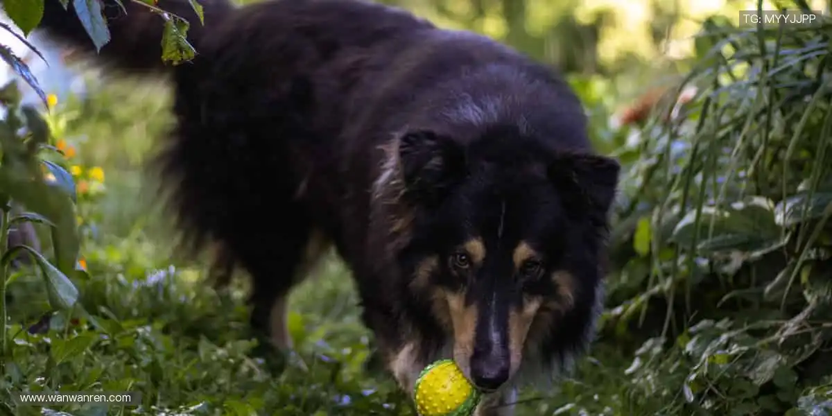 🏋️ 健身社区，陪你蜕变！❤️ 从打卡到成就，我们一路见证！